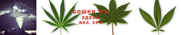 MESCALINE Белокуриха