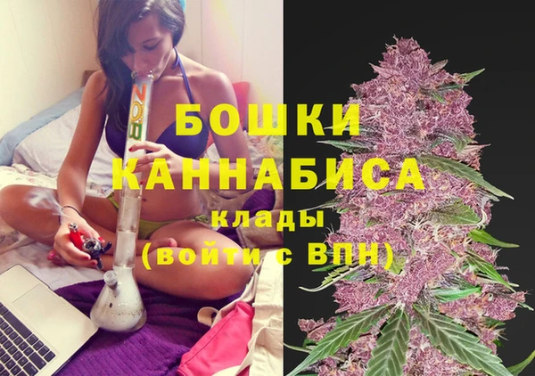 крисы Баксан