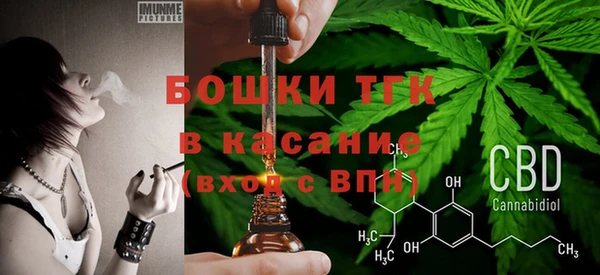 гашик Белоозёрский