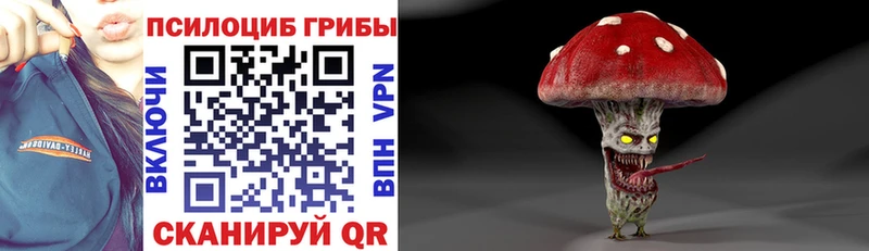 Галлюциногенные грибы Psilocybe  Курчатов 